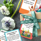 Cartes des expressions du quotidien — 21 cartes